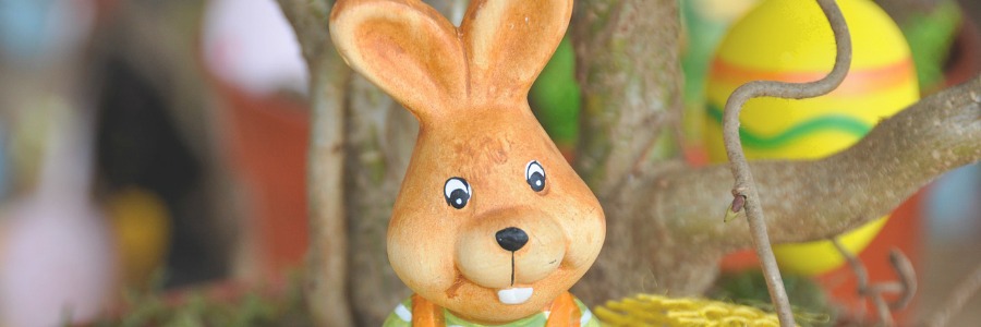 Ab Wann Fur Ostern Schmucken Fragen Ans Netz