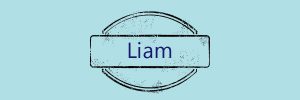 Was bedeutet der Name Liam?